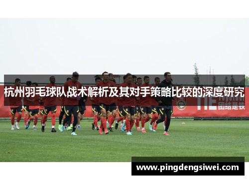 杭州羽毛球队战术解析及其对手策略比较的深度研究